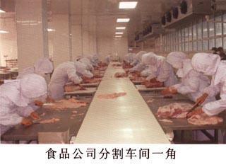 重庆某食品有限公司牛肉冻库